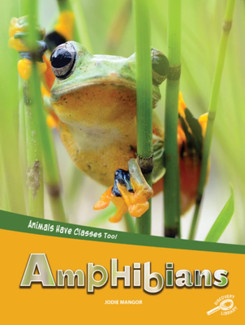 Amphibians