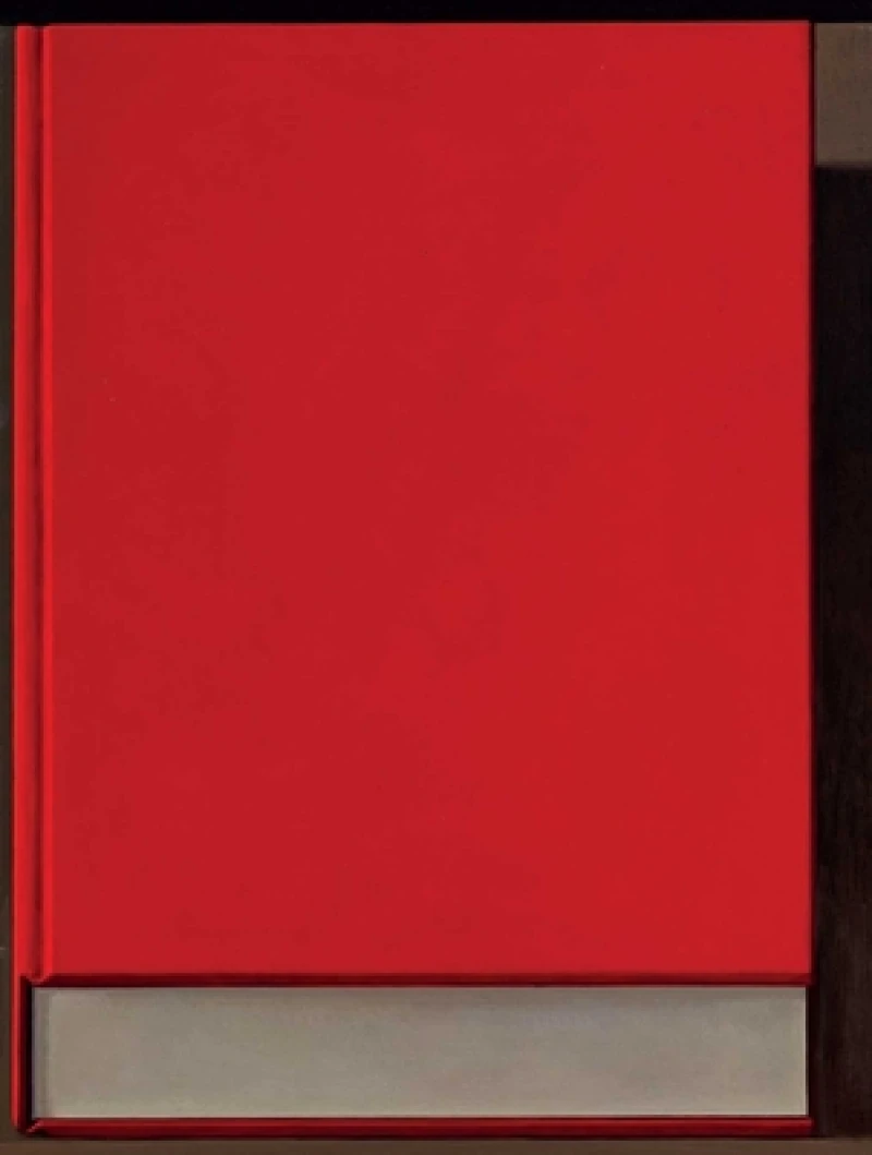 Liu Ye