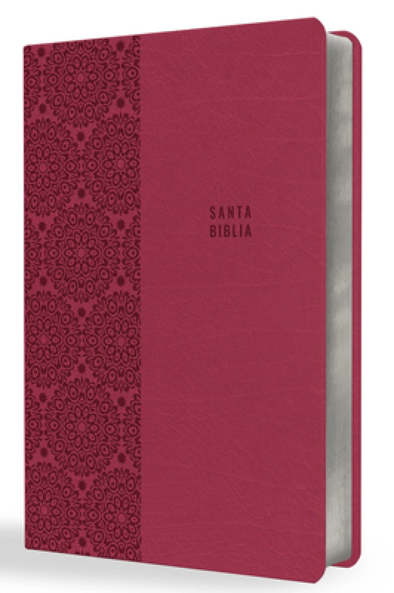 Biblia Reina Valera letra súper gigante, símil piel fucsia / Spanish Bible Reina Valera Super Giant Print, Fuchsia Leathersoft