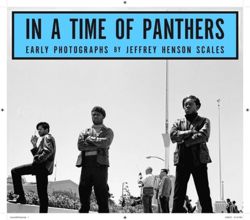 In A Time of Panthers