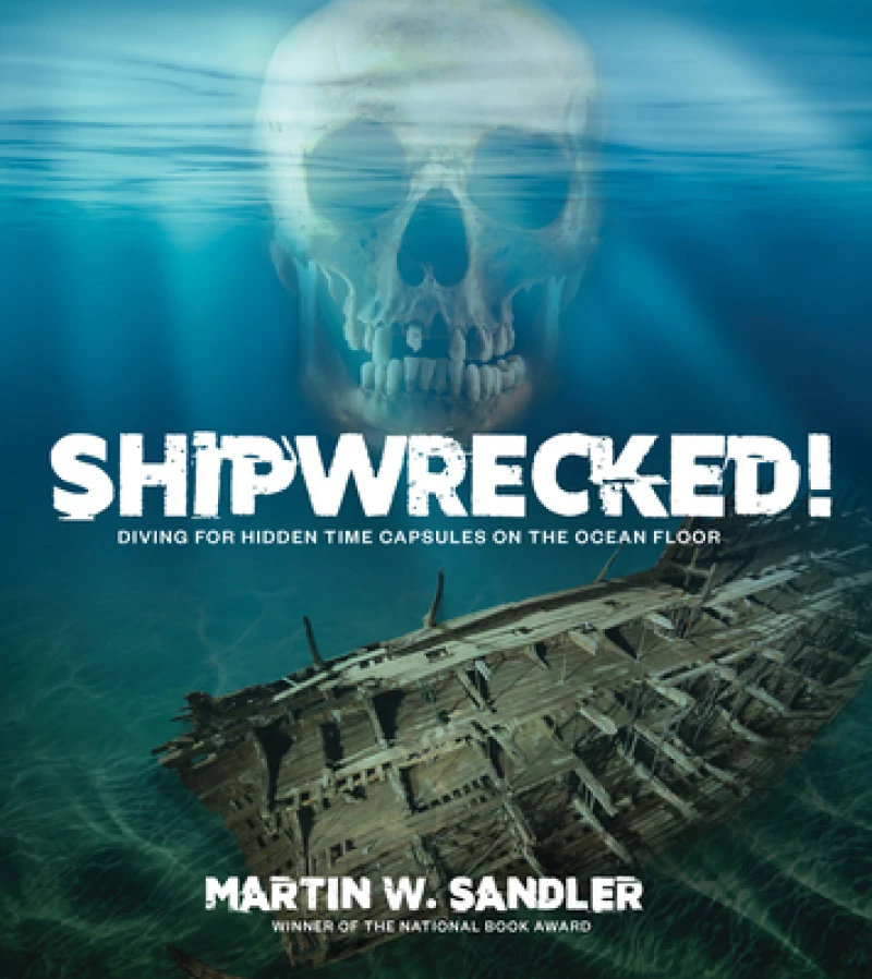 Shipwrecked!