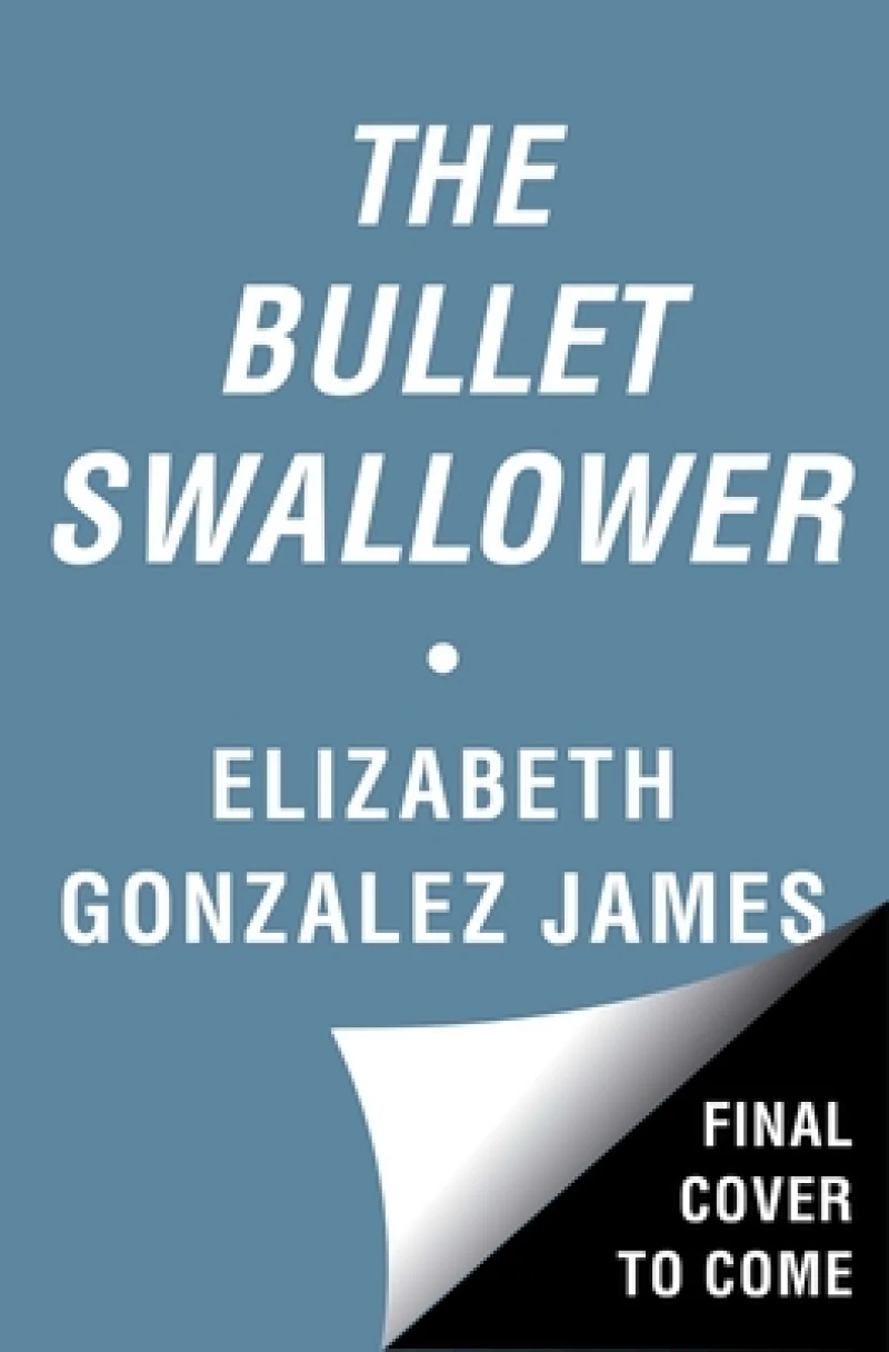 Bullet Swallower