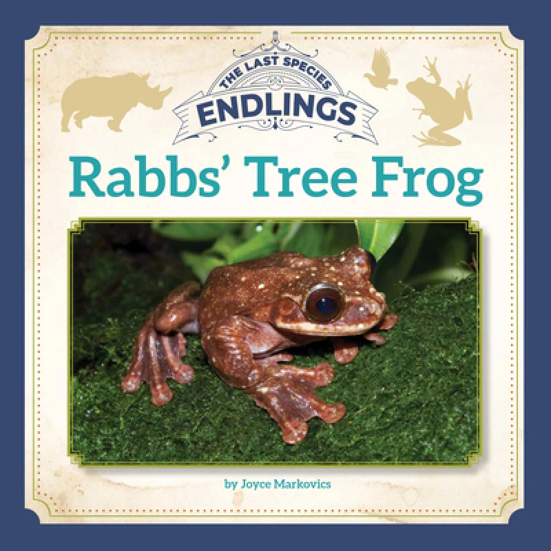 Rabbs'' Tree Frog