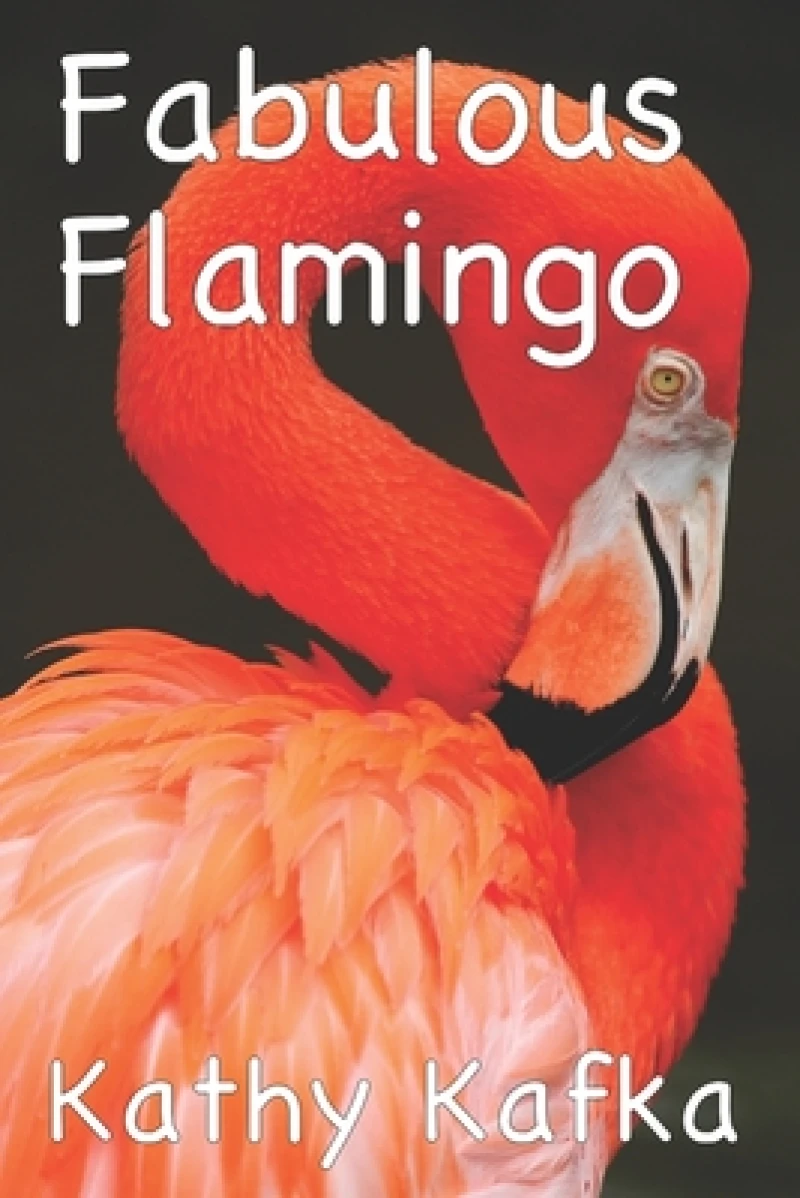 Fabulous Flamingo