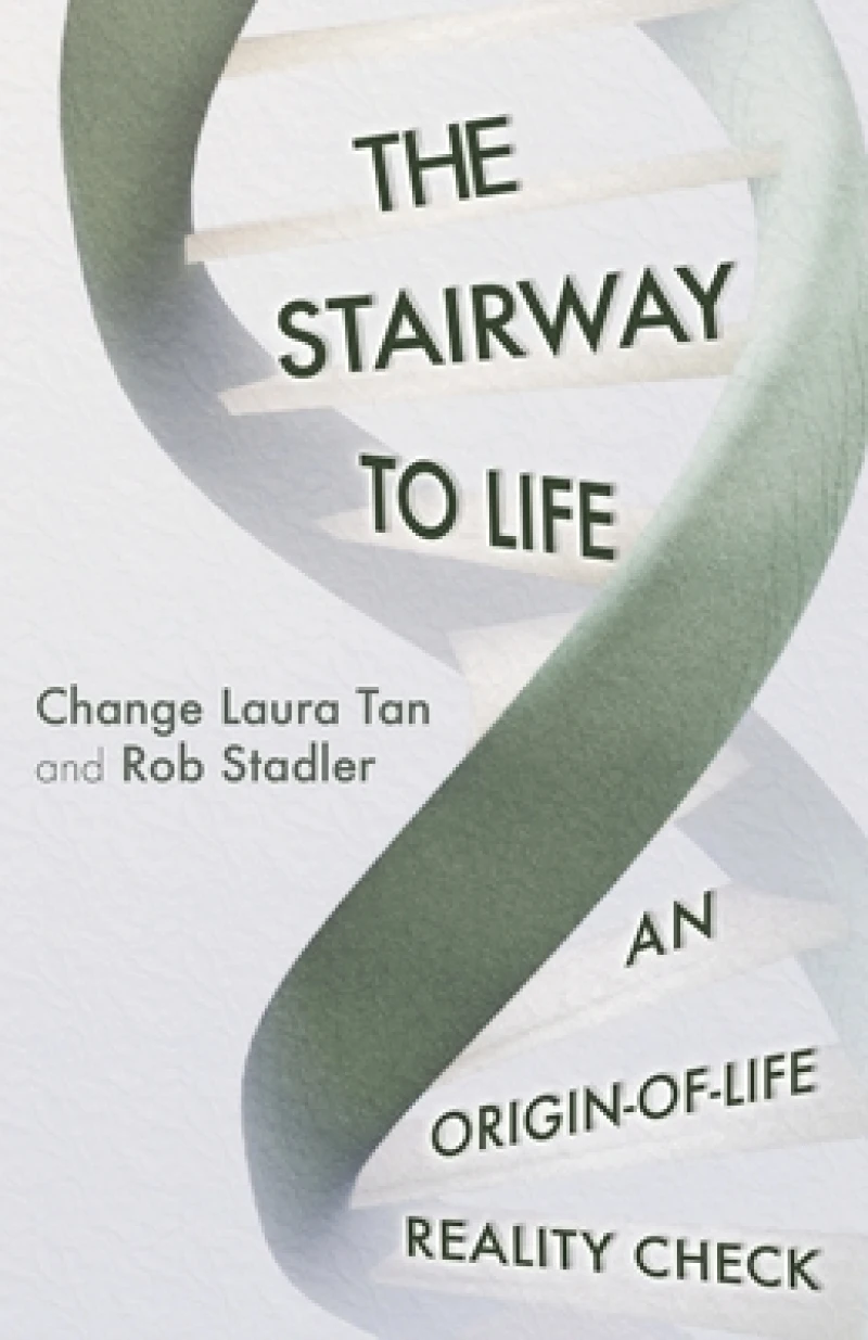 The Stairway To Life