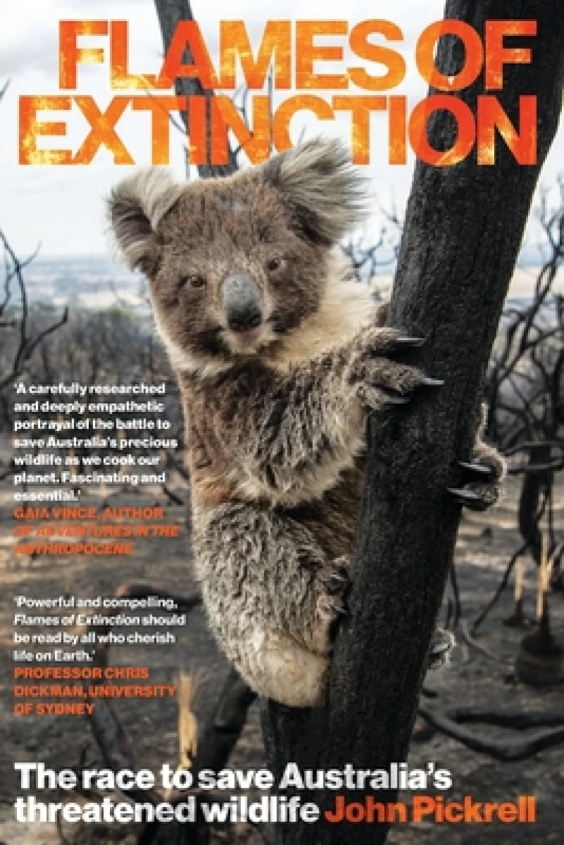 Flames of Extinction