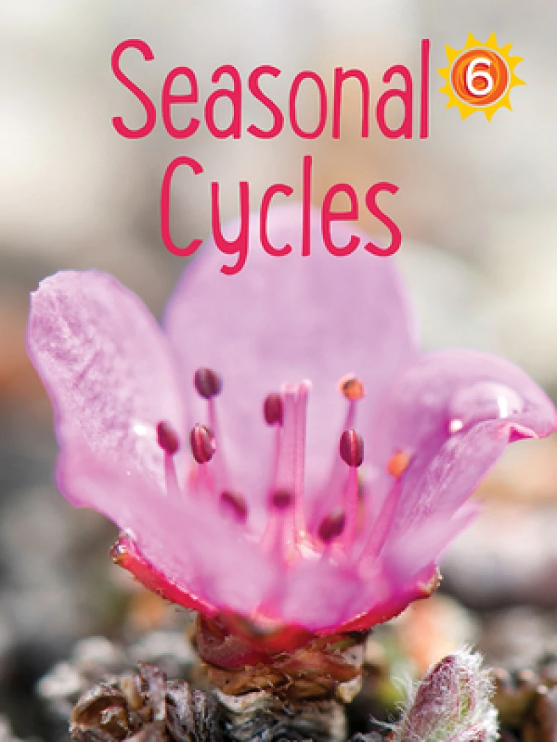 Seasonal Cycles
