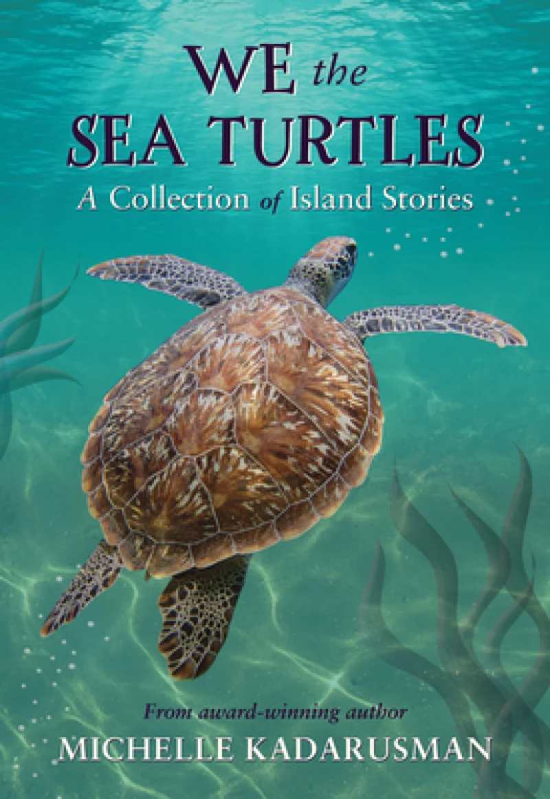 We the Sea Turtles