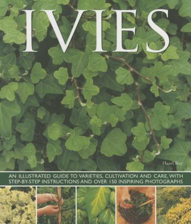 Ivies