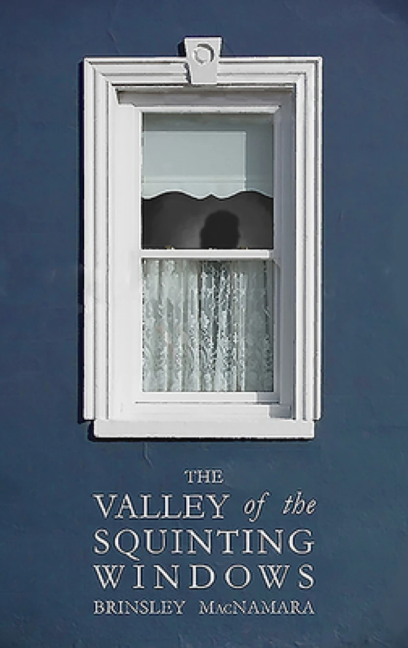 The Valley of the Squinting Windows