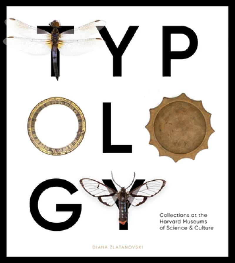Typology
