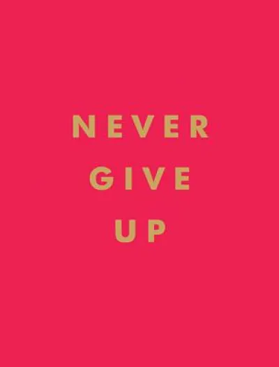 Never Give Up