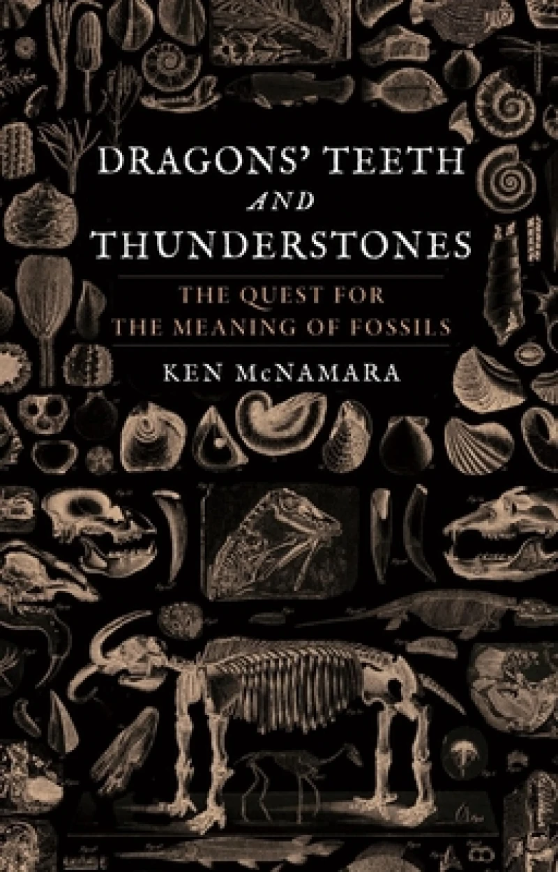 Dragons’ Teeth and Thunderstones