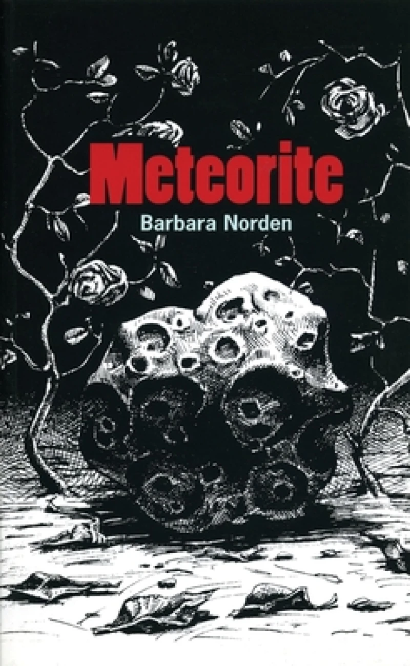 Meteorite