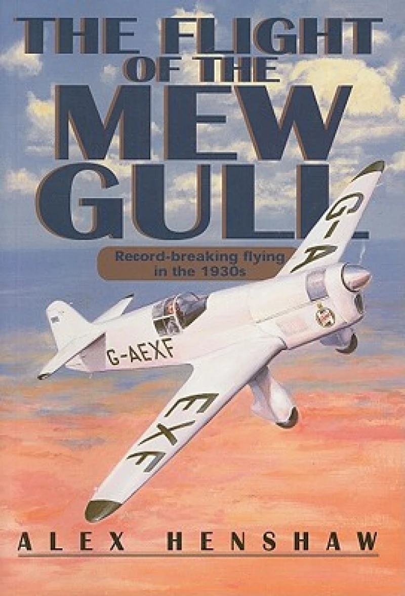 Flight of The Mew Gull