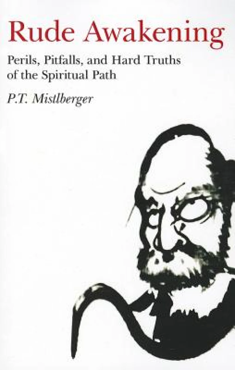 Rude Awakening – Perils, Pitfalls, and Hard Truths of the Spiritual Path