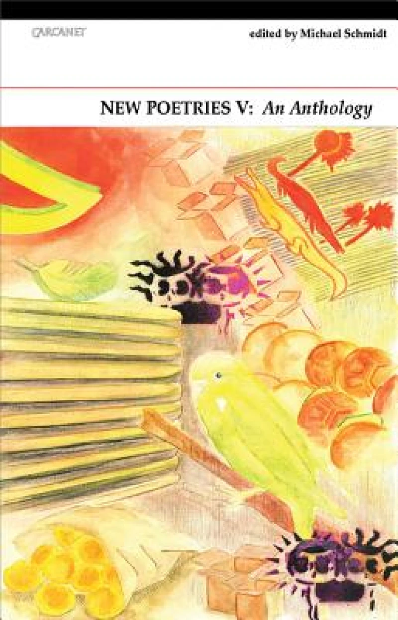 New Poetries V