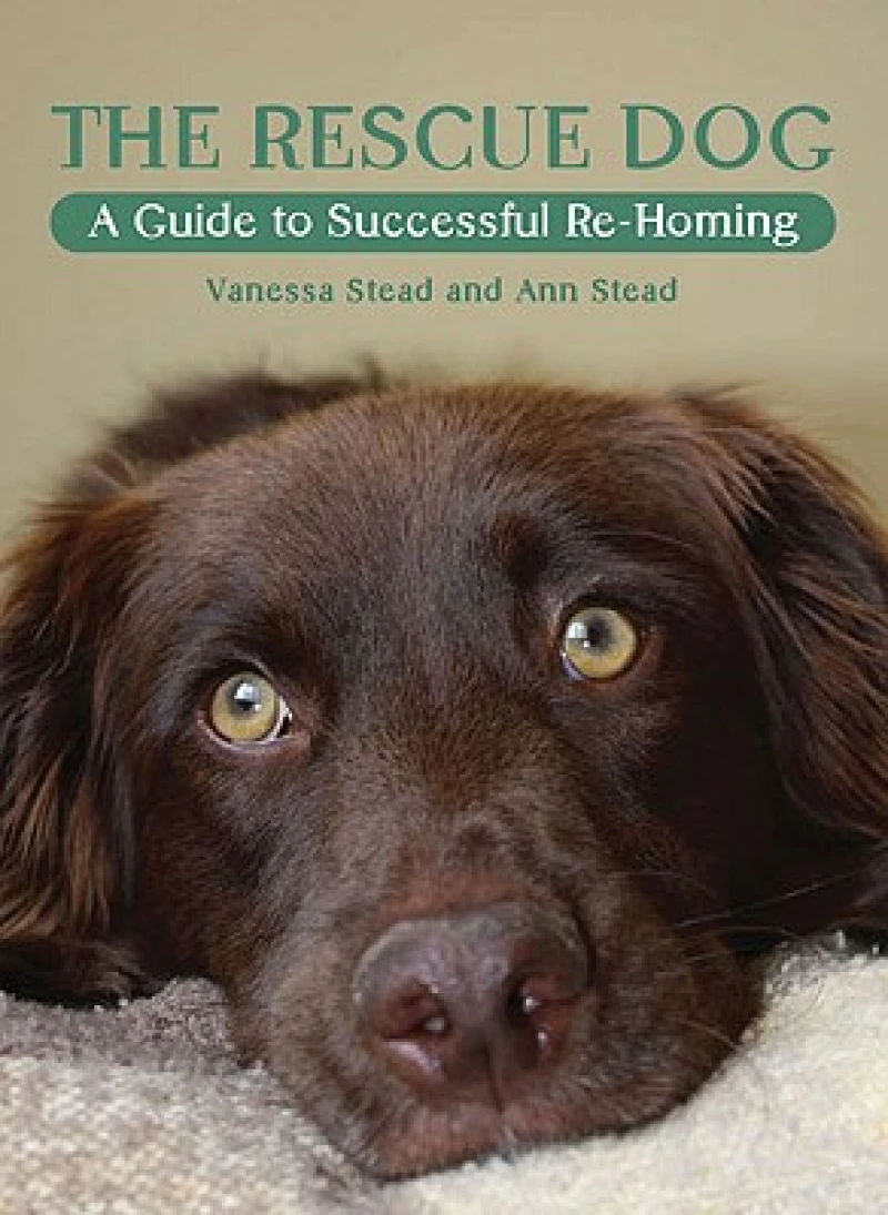 The Rescue Dog