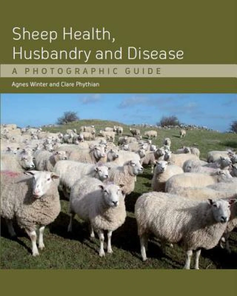 Sheep Health, Husbandry and Disease