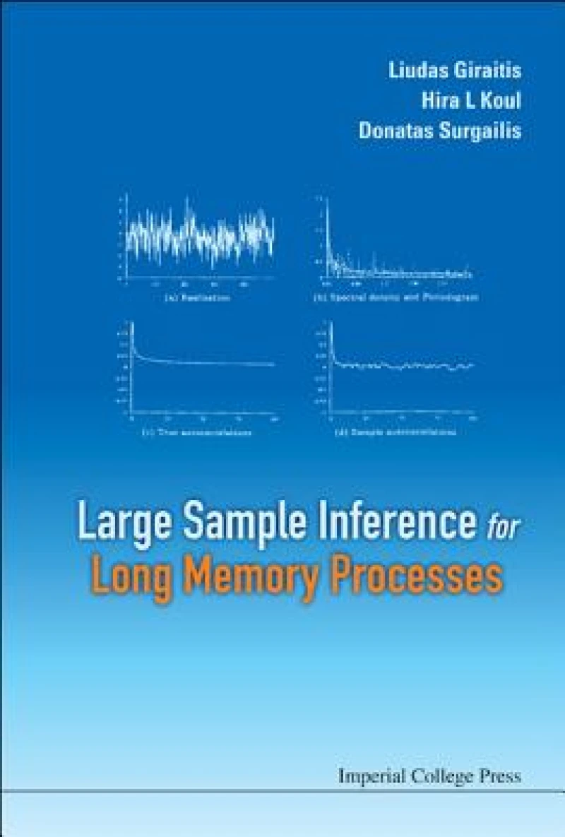 Large Sample Inference For Long Memory Processes