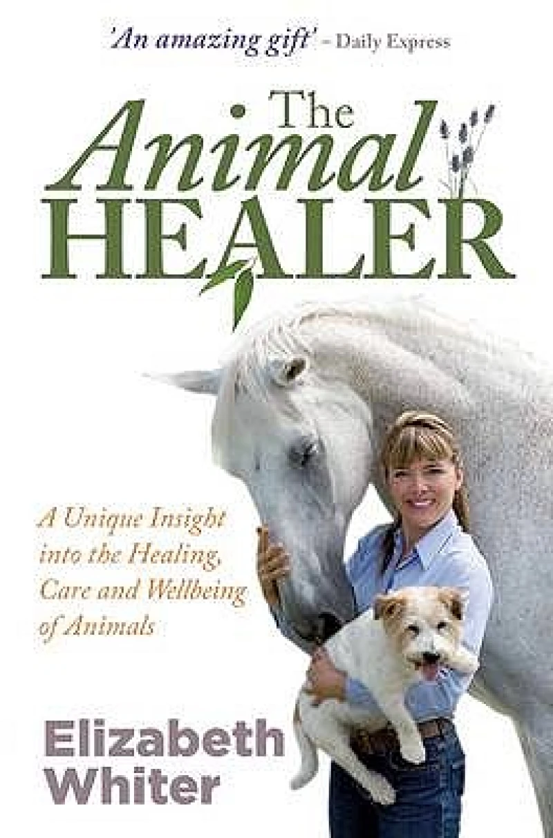 The Animal Healer