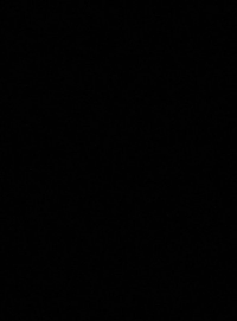 Global Civil Society Yearbook 2009