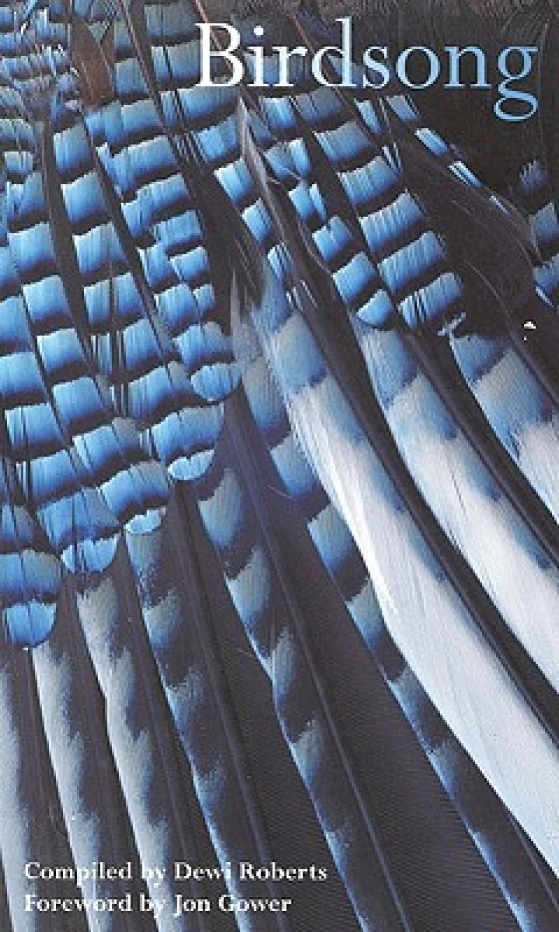 Birdsong