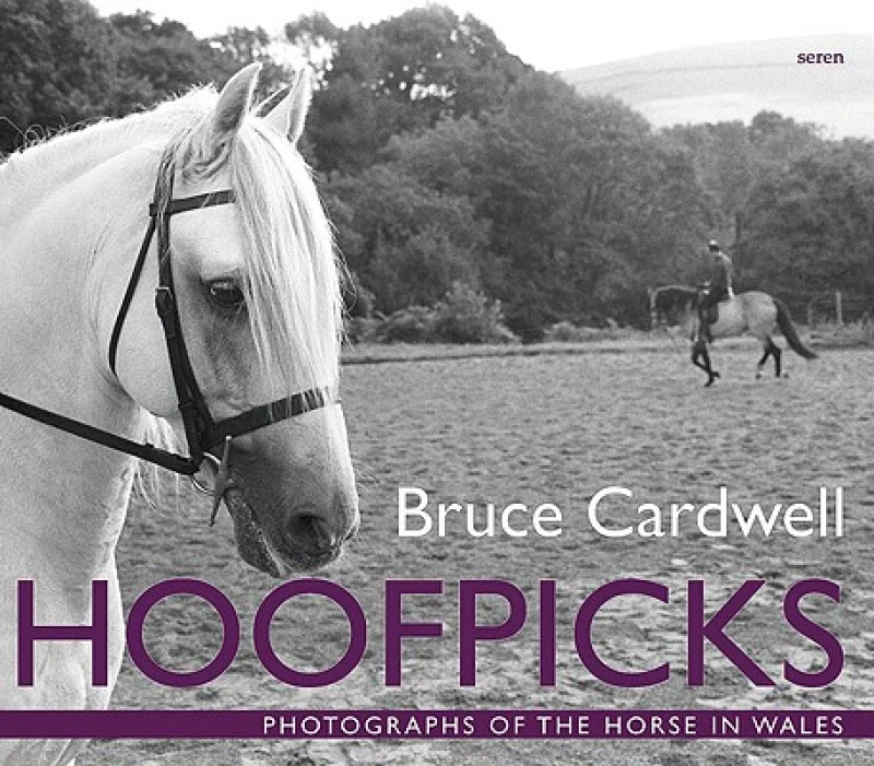 Hoofpicks