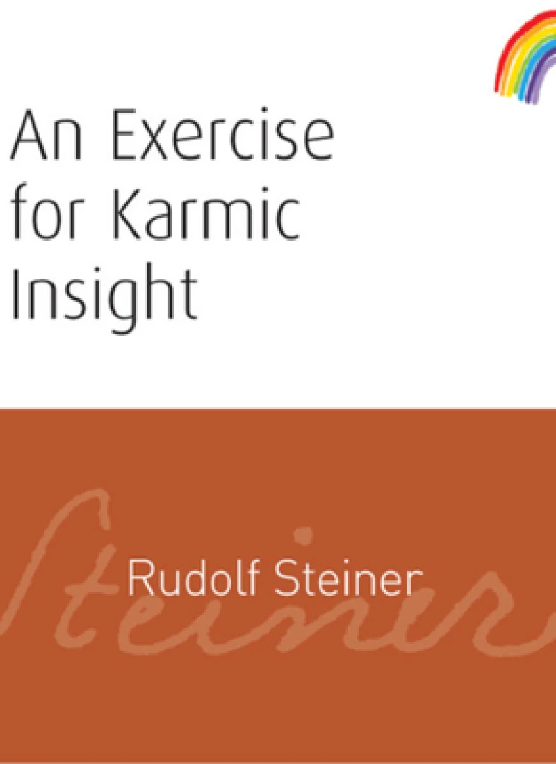 An Exercise for Karmic Insight