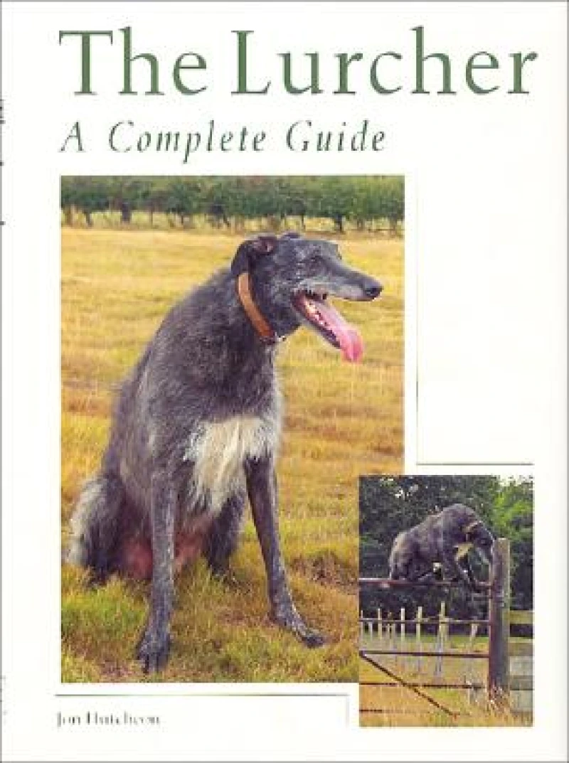 Lurcher