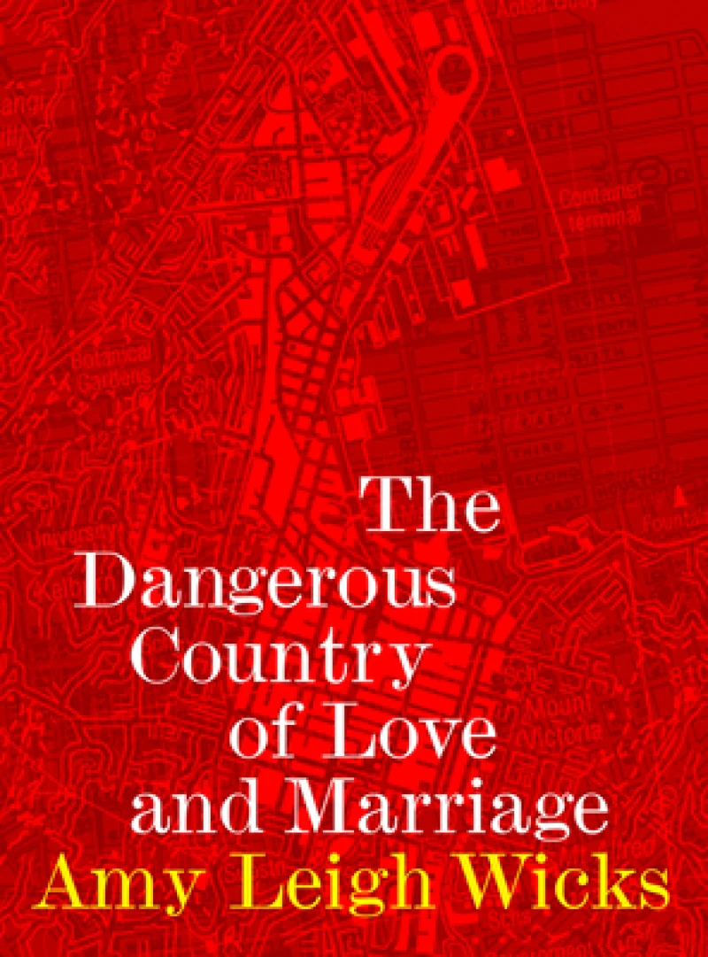 Dangerous Country of Love and Marriage