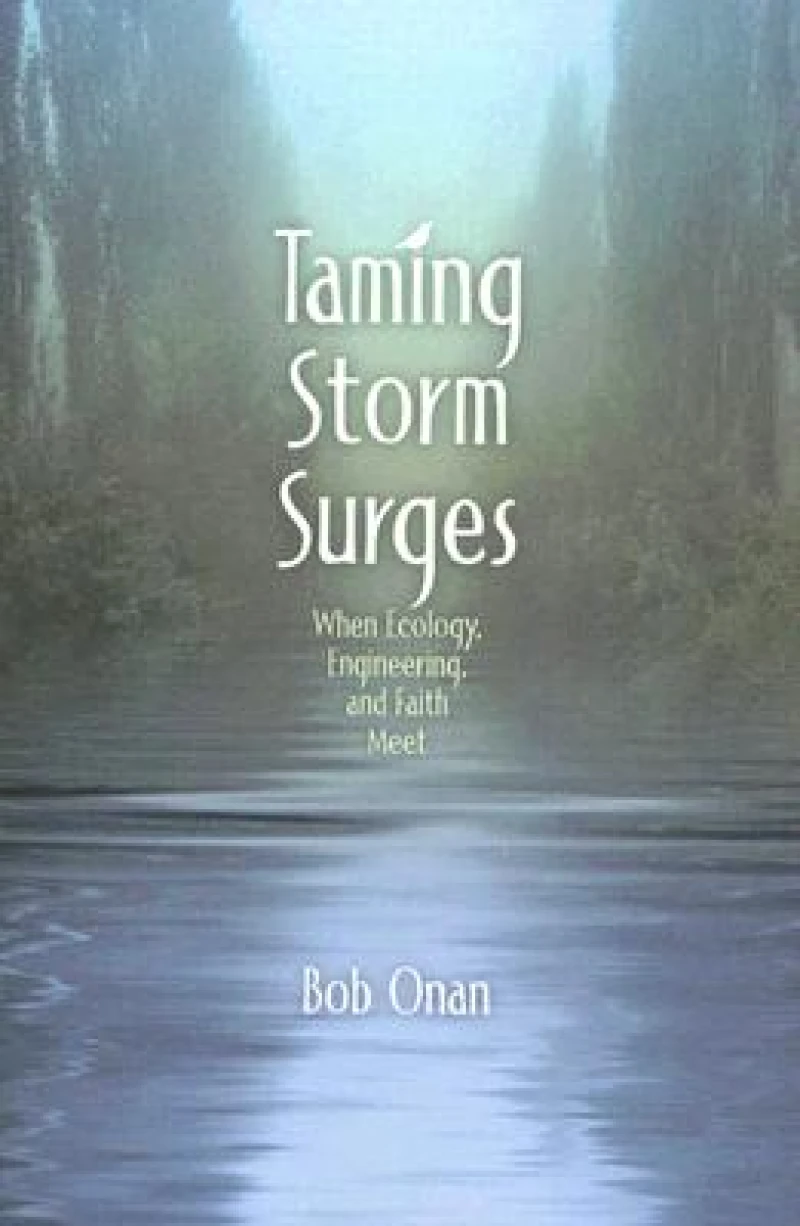 Taming Storm Surges
