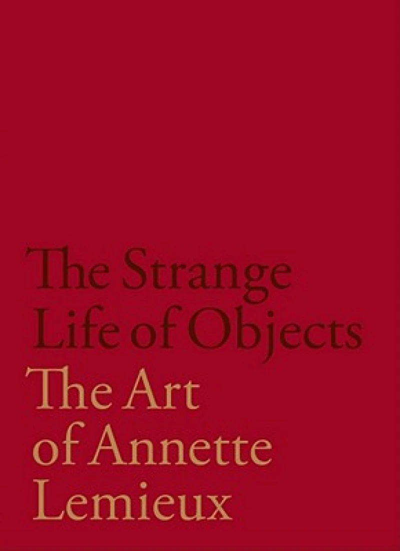 The Strange Life of Objects