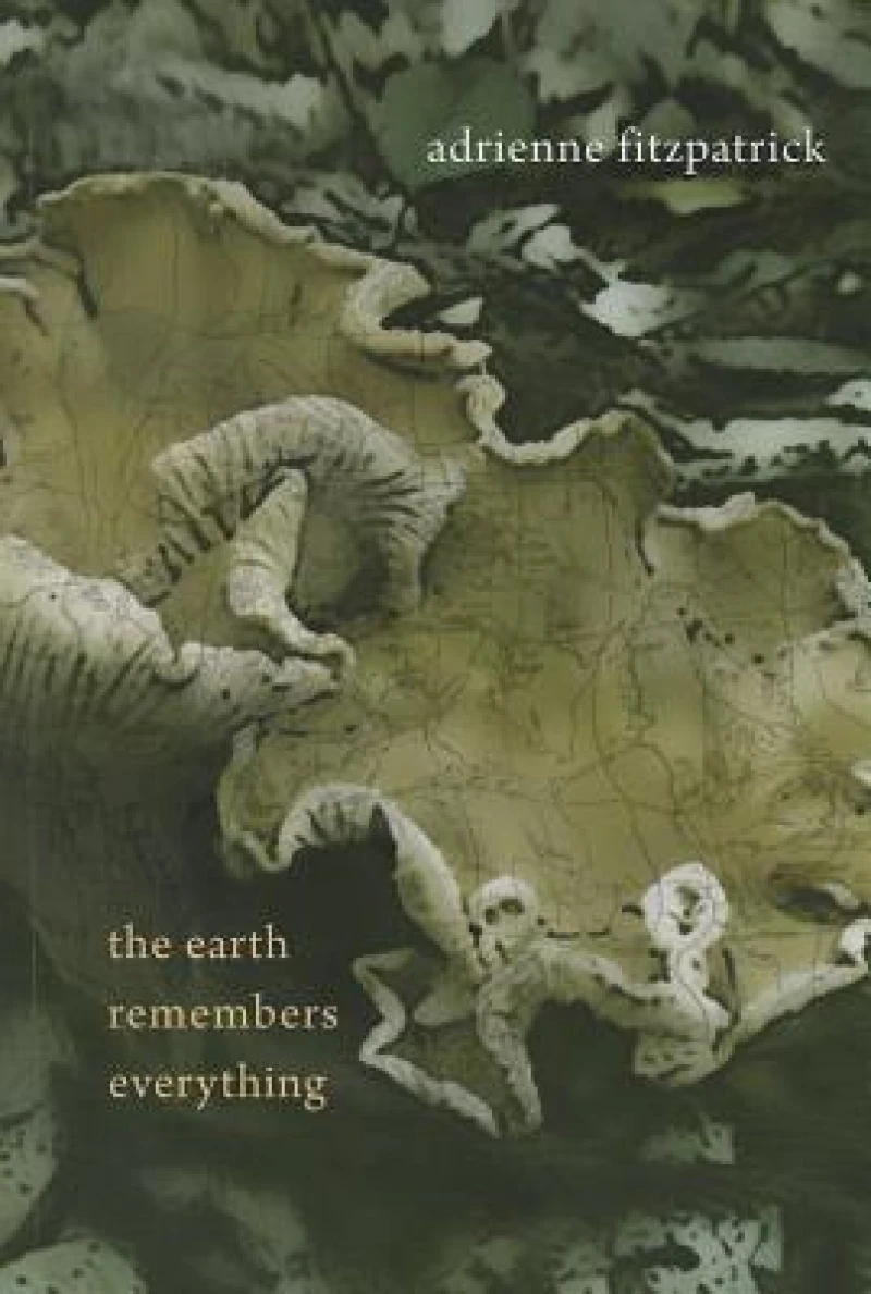 The Earth Remembers Everything