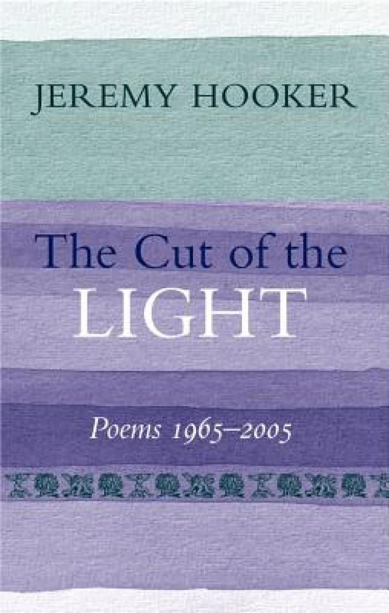 Cut of the Light, The - Poems 1965-2005