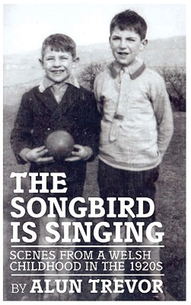 The Songbird is Singing