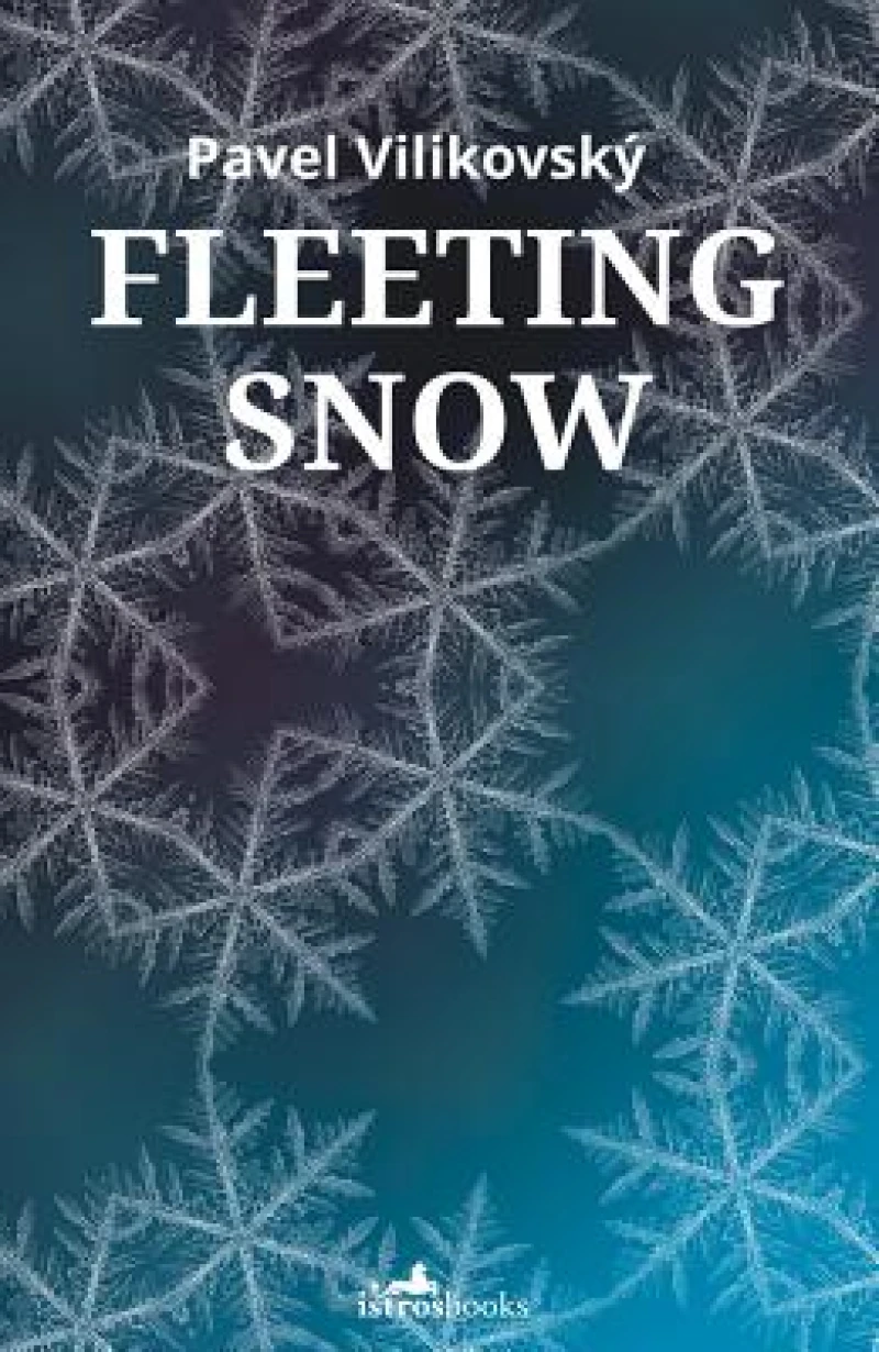 Fleeting Snow