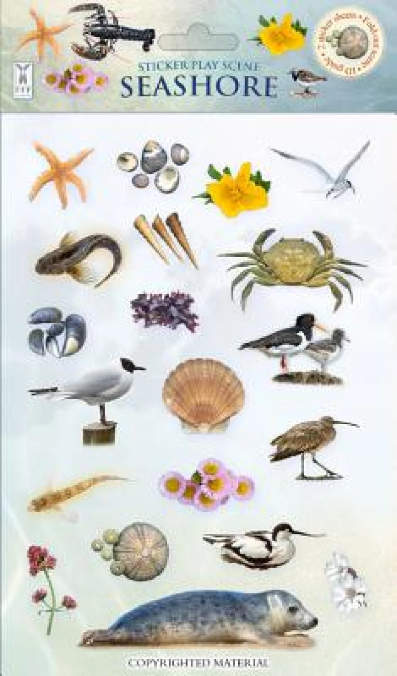 Seashore
