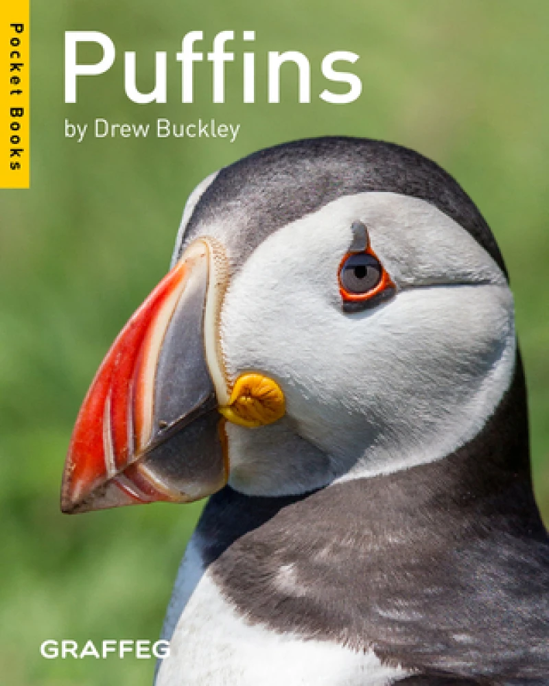 Puffins (Pocket Books)