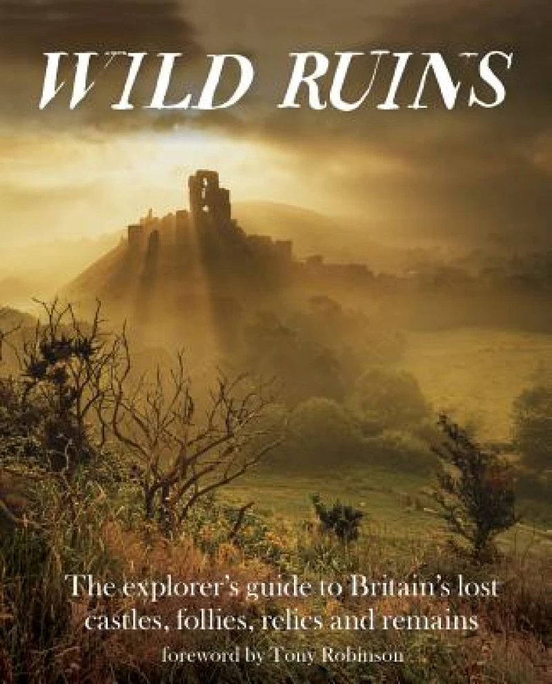 Wild Ruins
