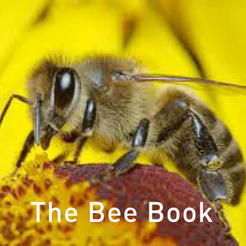 Nature Book Series: The Bee Book