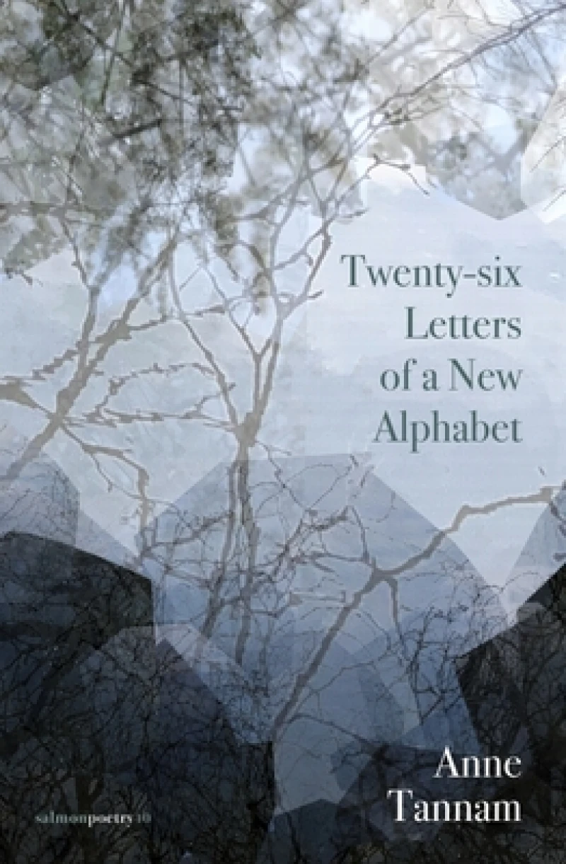 Twenty-six Letters of a New Alphabet