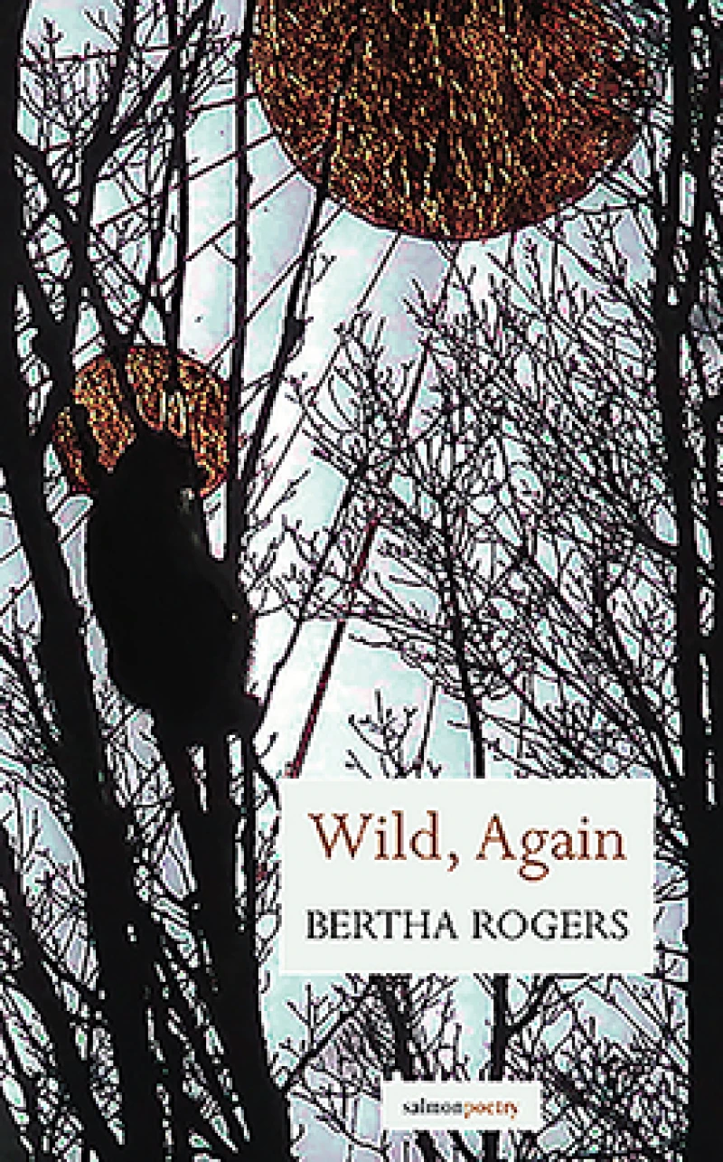 Wild, Again