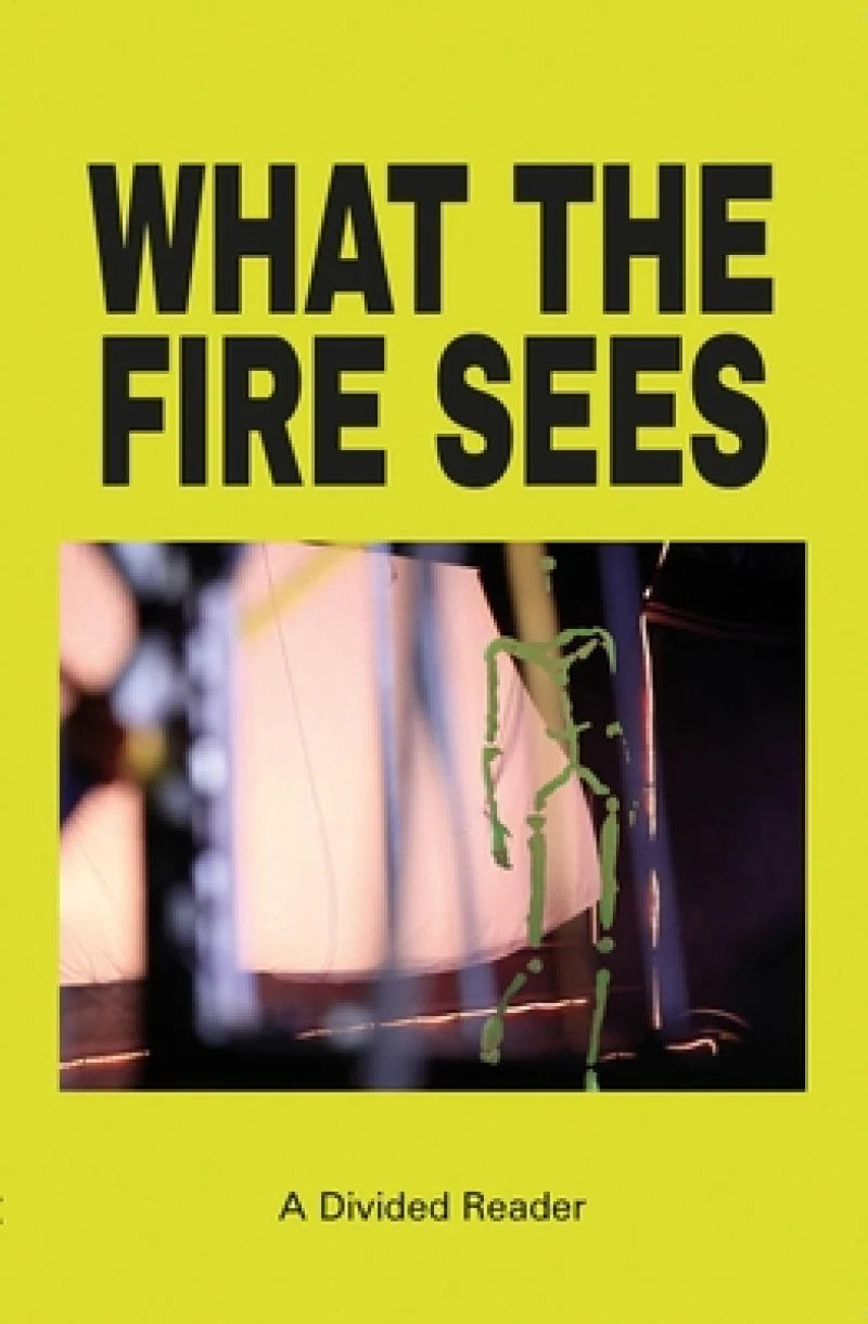 What the Fire Sees