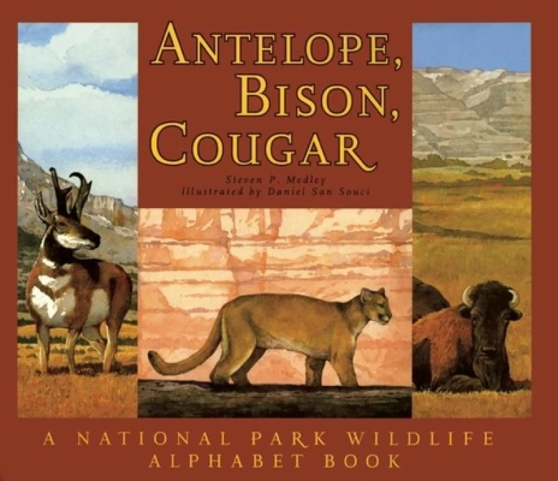 Antelope, Bison, Cougar