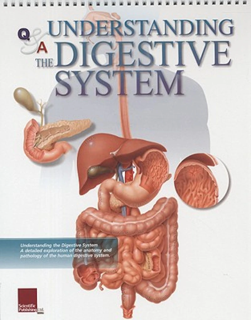 Understanding the Digestive System Flip Chart