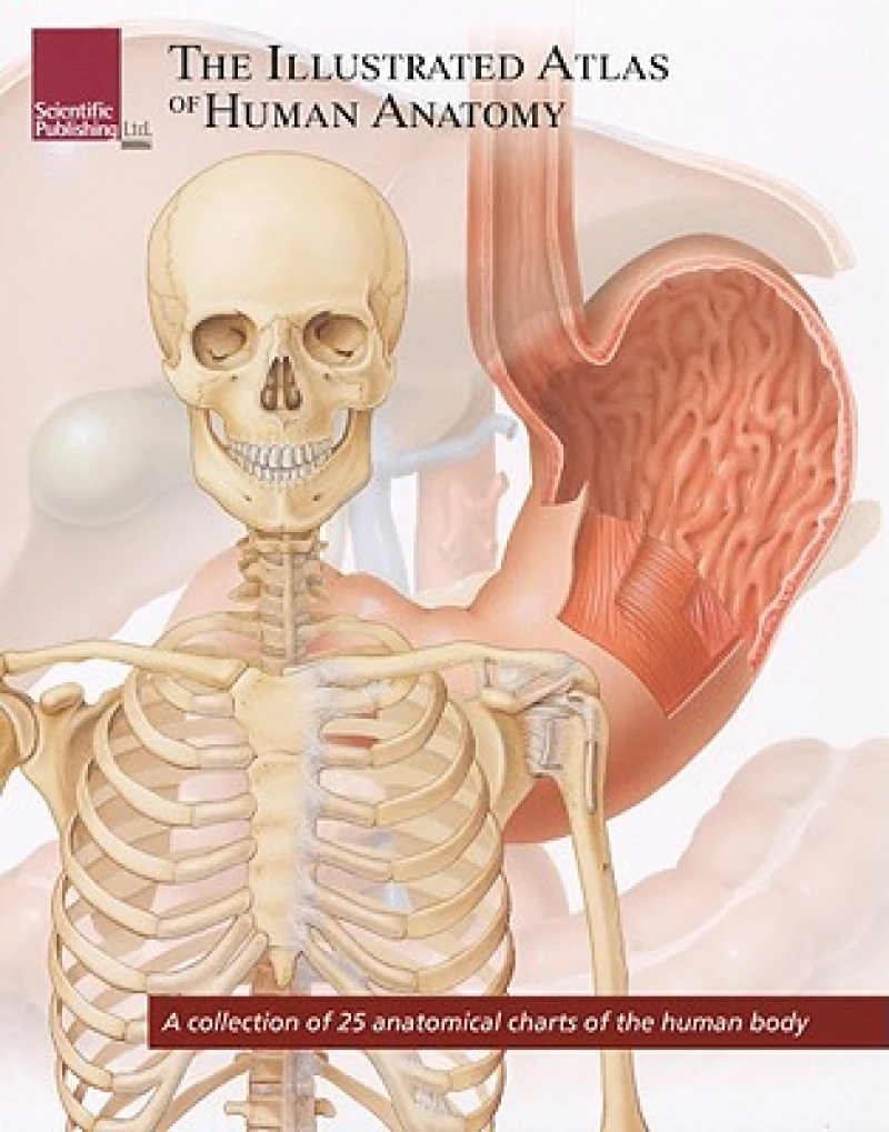 Illustrated Atlas of Human Anatomy