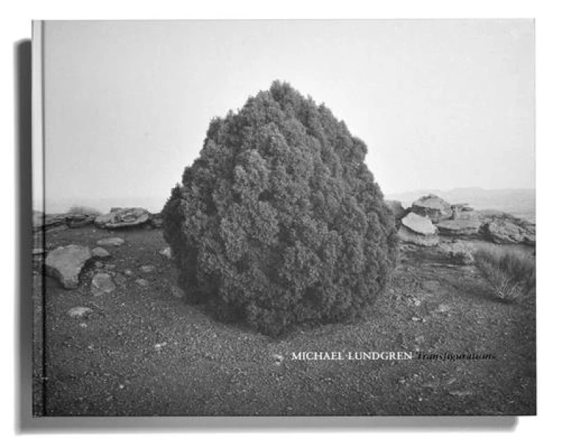 Michael Lundgren: Transfigurations