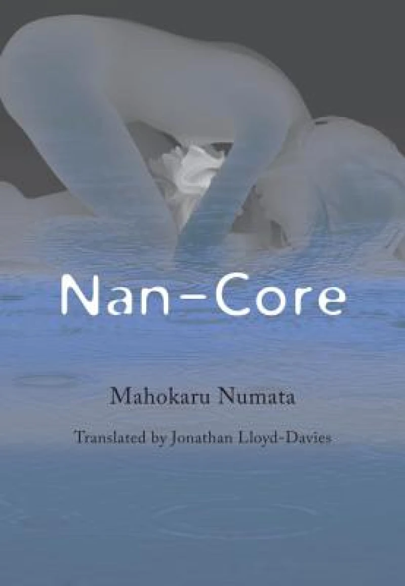 Nan-Core