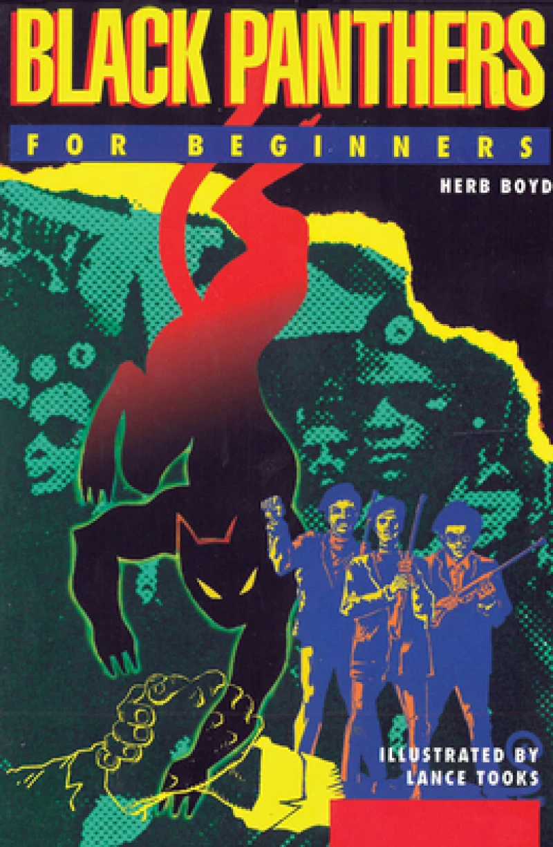 Black Panthers  For Beginners